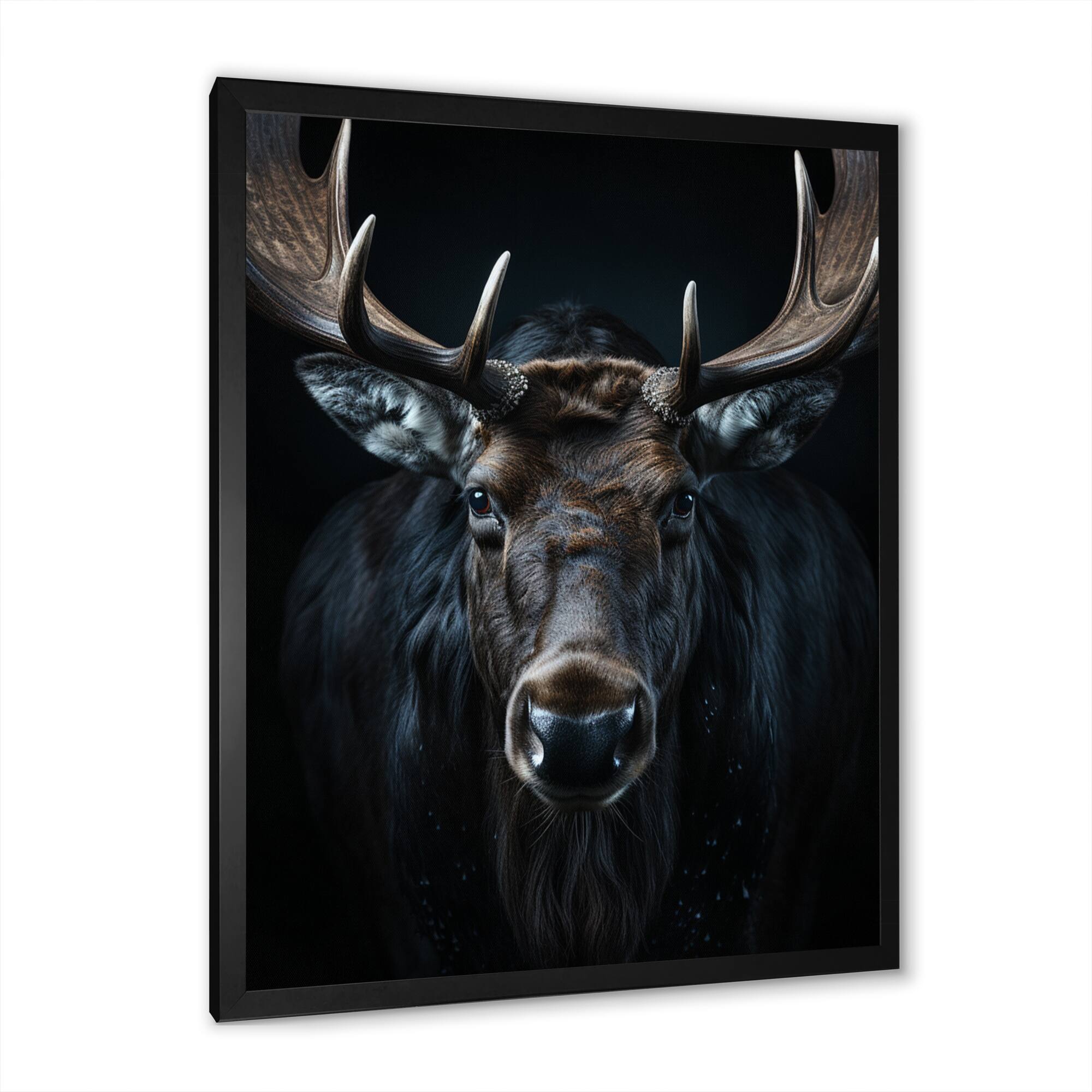 Designart "Black White Moose Vibrant Contrast I" Moose Framed Canvas
